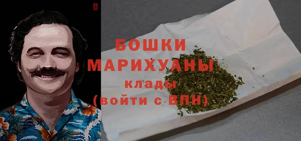 молекула духа Михайловка