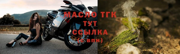 соль ск Михайлов