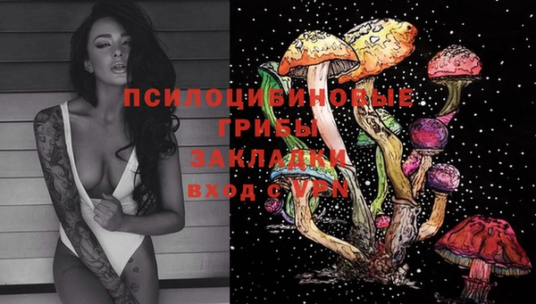 молекула духа Михайловка