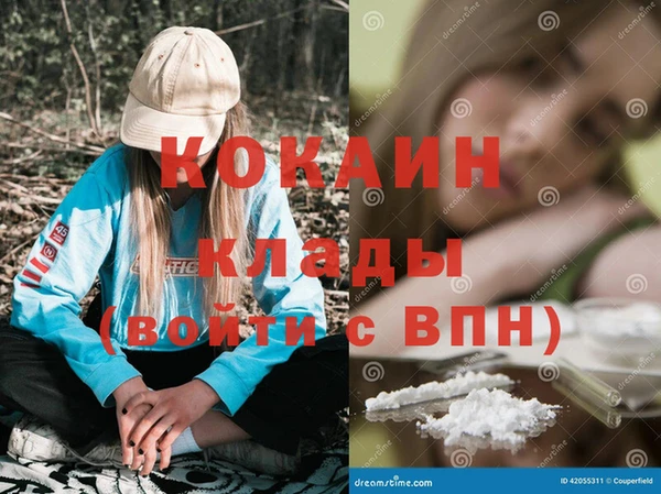 соль ск Михайлов
