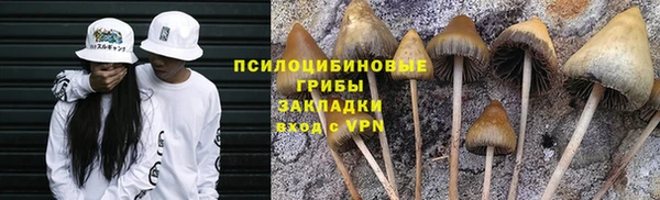 соль ск Михайлов