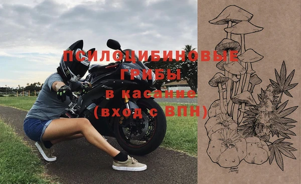 соль ск Михайлов