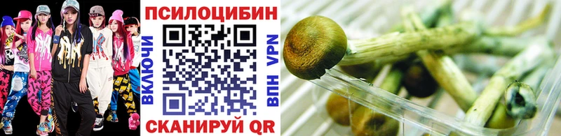 Купить  Гвардейск  Галлюциногенные грибы мухоморы 